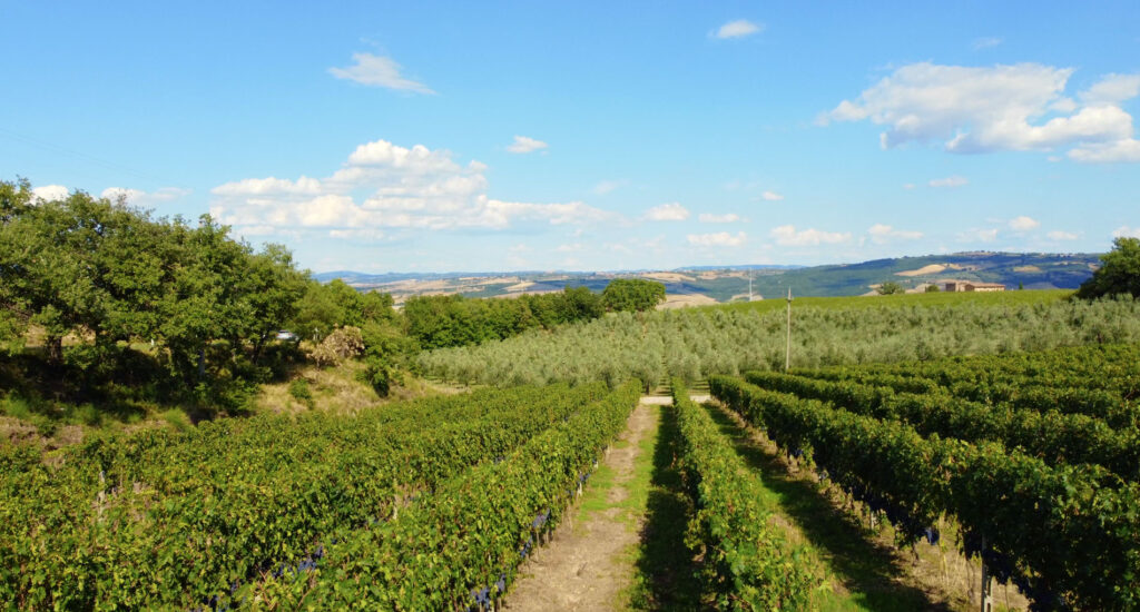 glamping vicino montalcino, glamping toscana, agriturismo montalcino