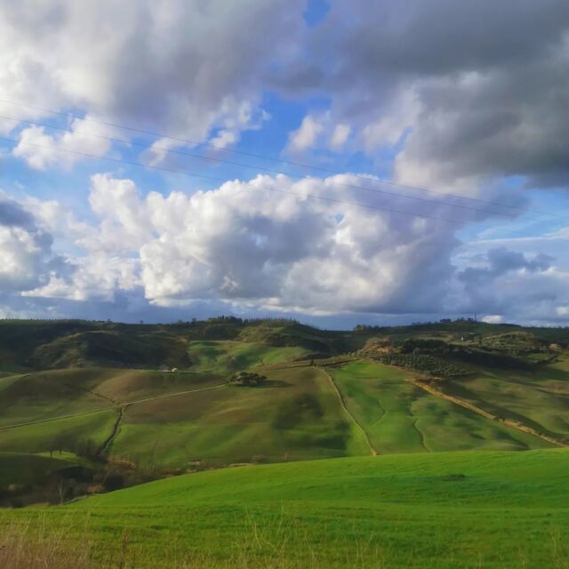 Glamping le Dune visto dalla collina di fronte, riuscite a vedere la yurta? 😍🛖