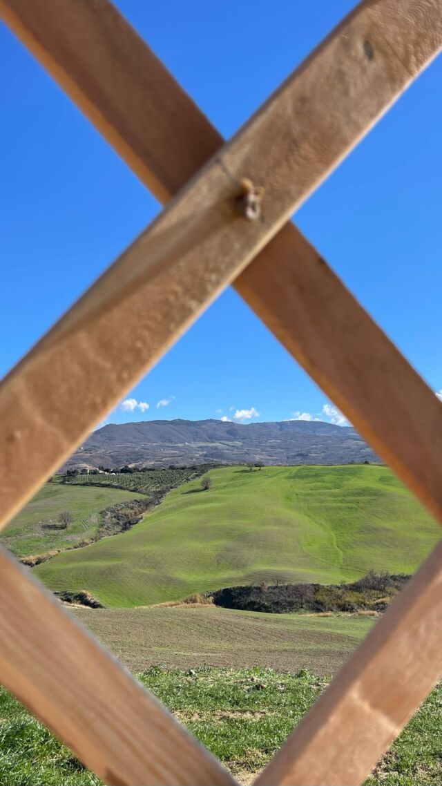 Finalmente la nostra prima struttura di glamping sta prendendo forma! Dopo tanto tempo di progettazione e attese, siamo entusiasti di presentarvi la nostra yurta 🛖Sarà arredata in stile vintage con dettagli sorprendenti che vi conquisteranno. Presto apriremo le prenotazioni, con sconti riservati ai primi che vorranno provarla 😍Finally, our first glamping structure is taking shape! After so much time of planning and waiting, we are excited to introduce you our yurt 🛖It will be decorated in vintage style with surprising details that will enchant you. Soon, we will open reservations, with discounts reserved for the first ones who would like to try it 😍•••#glampingledune #ledunerooms #yurt #yurta #glamping #glampingtoscana #glampingtuscany #glampingitaly #newglamping #maremma #discovertuscany #alloggiparticolari